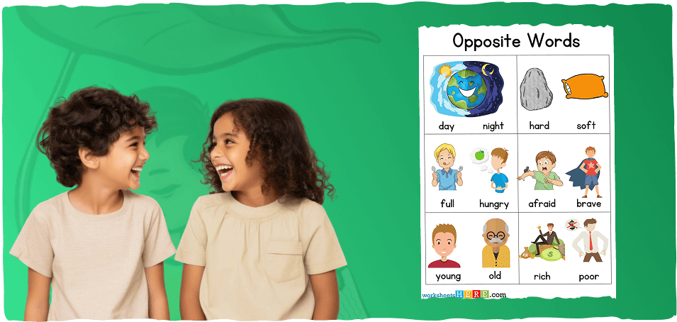 English Opposite Words for Kids